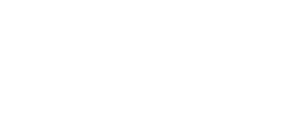 Logo weißer Schriftzug LIVE 21 Projekt Brünner Straße
