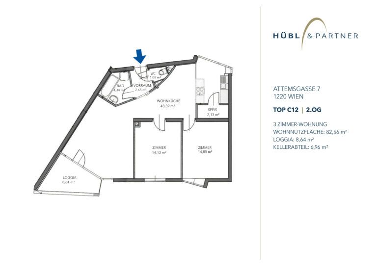 Grundriss-Attemsgasse-TopC12